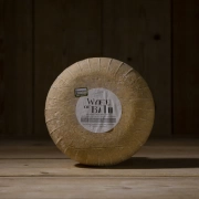 A slice of Merry Wyfe cheese